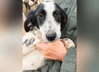 Conny wartet auf ihre Menschen!