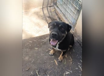 TRUDY – Eine Seele voller Liebe hinter kalten Gittern