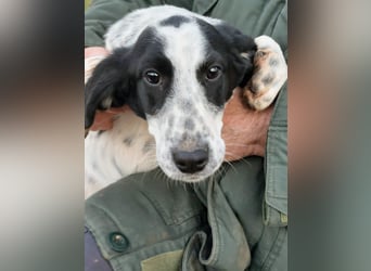 Conny wartet auf ihre Menschen!