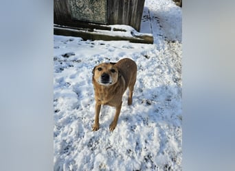 Unser Ulise sucht seine Familie