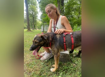 Joly sucht seine Person zum Ankommen