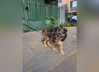 Kiruna sucht endlich ihr Körbchen (D/CH/LUX)