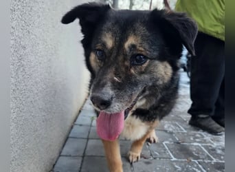 Kiruna sucht endlich ihr Körbchen (D/CH/LUX)