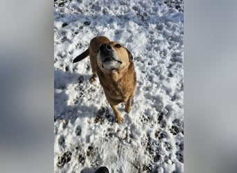 Unser Ulise sucht seine Familie
