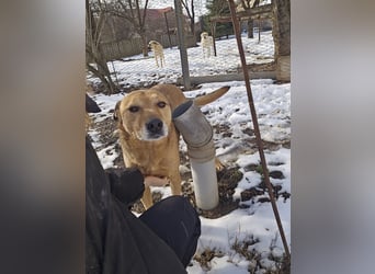 Unser Ulise sucht seine Familie