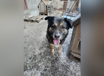 Kiruna sucht endlich ihr Körbchen (D/CH/LUX)