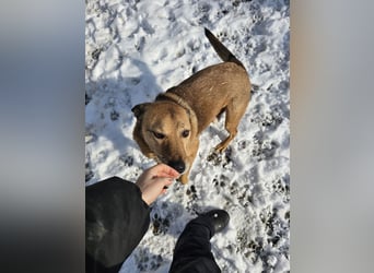 Unser Ulise sucht seine Familie