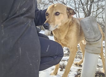 Unser Ulise sucht seine Familie