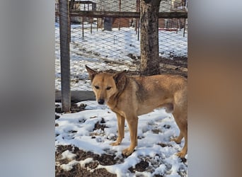 Unser Ulise sucht seine Familie