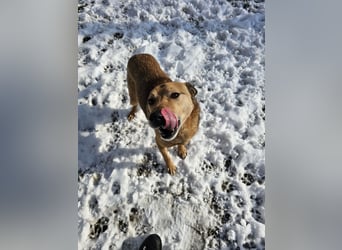 Unser Ulise sucht seine Familie