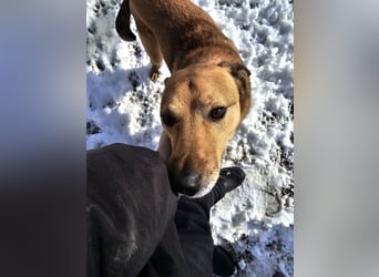 Unser Ulise sucht seine Familie