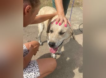 Max - seeehr verschmust u. lieb!