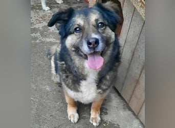 Kiruna sucht endlich ihr Körbchen (D/CH/LUX)