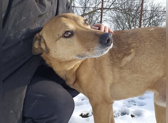 Unser Ulise sucht seine Familie
