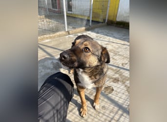 Joly sucht seine Person zum Ankommen