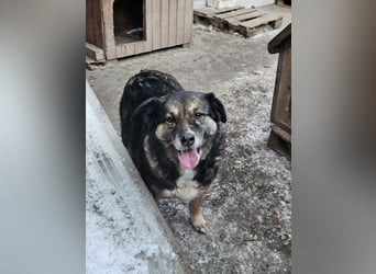 Kiruna sucht endlich ihr Körbchen (D/CH/LUX)