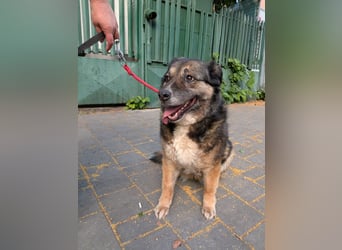 Kiruna sucht endlich ihr Körbchen (D/CH/LUX)