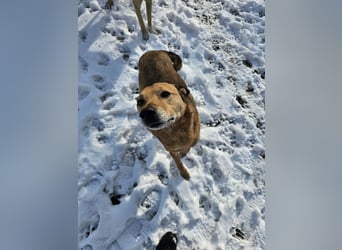 Unser Ulise sucht seine Familie