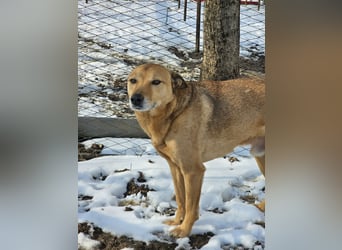 Unser Ulise sucht seine Familie
