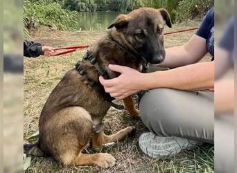 Joly sucht seine Person zum Ankommen