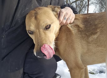 Unser Ulise sucht seine Familie