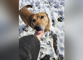 Unser Ulise sucht seine Familie