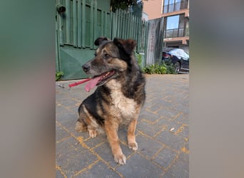 Kiruna sucht endlich ihr Körbchen (D/CH/LUX)