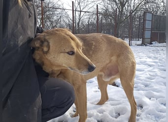 Unser Ulise sucht seine Familie