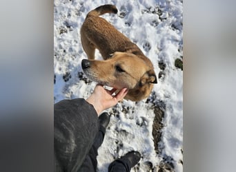 Unser Ulise sucht seine Familie