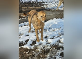 Unser Ulise sucht seine Familie