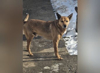 Unser Ulise sucht seine Familie