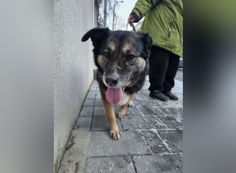 Kiruna sucht endlich ihr Körbchen (D/CH/LUX)