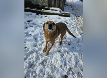 Unser Ulise sucht seine Familie