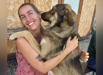 Pedro - Sonnenschein sucht Zuhause