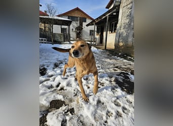 Unser Ulise sucht seine Familie