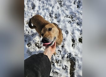 Unser Ulise sucht seine Familie