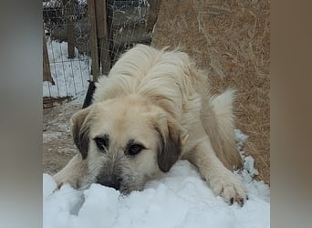 Brann - sportlicher, kluger Kerl sucht aktive Menschen