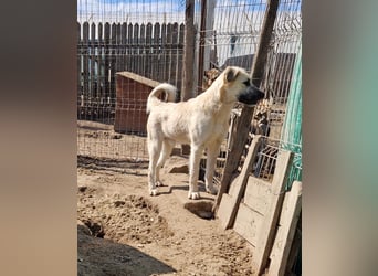 Brann - sportlicher, kluger Kerl sucht aktive Menschen