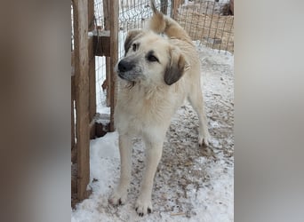 Brann - sportlicher, kluger Kerl sucht aktive Menschen