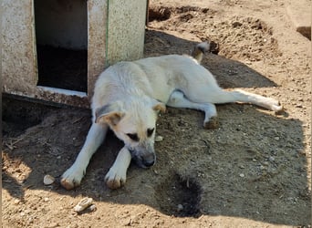 Brann - sportlicher, kluger Kerl sucht aktive Menschen