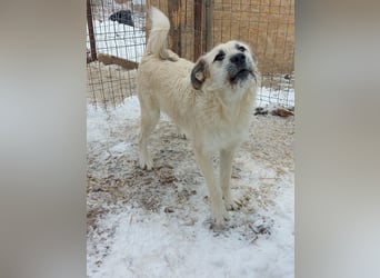 Brann - sportlicher, kluger Kerl sucht aktive Menschen