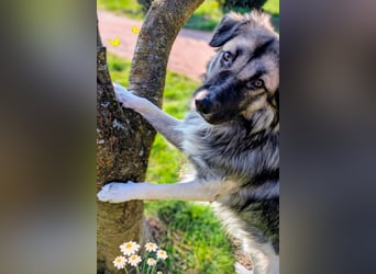 Kai - Vom Karton auf die Couch