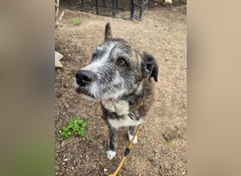 Luke: probiers mal mit Gemütlichkeit