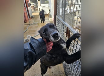 Ena: nur einmal Liebe spüren...