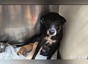 Ena: nur einmal Liebe spüren...