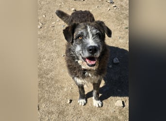 Luke: probiers mal mit Gemütlichkeit