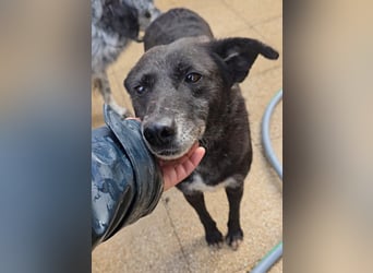 Ena: nur einmal Liebe spüren...