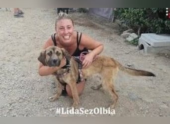 Luca: 1000 Schutzengel - und jetzt?