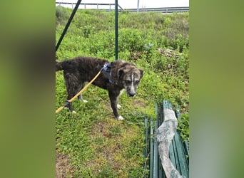 Luke: probiers mal mit Gemütlichkeit