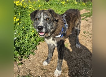 Luke: probiers mal mit Gemütlichkeit